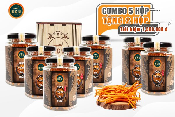 đông trùng hạ thảo Kim Cương Vàng