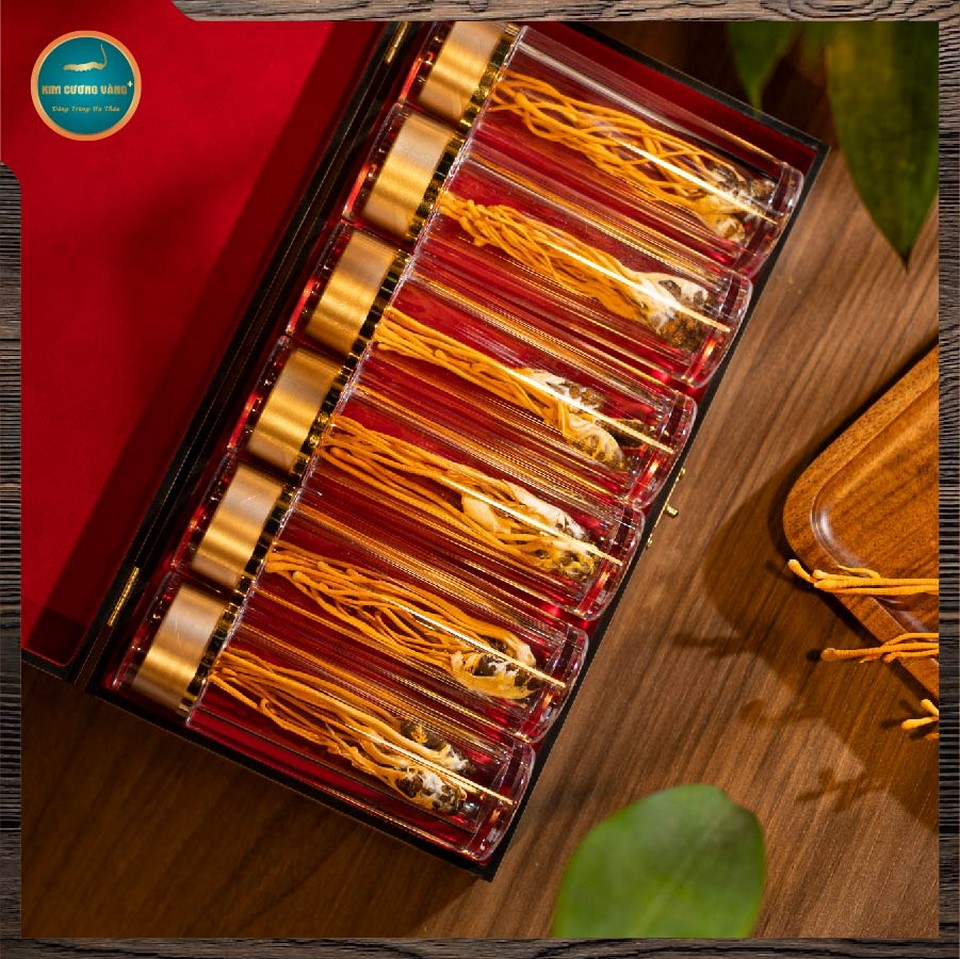 Đông trùng hạ thảo Premium Kim Cương Vàng