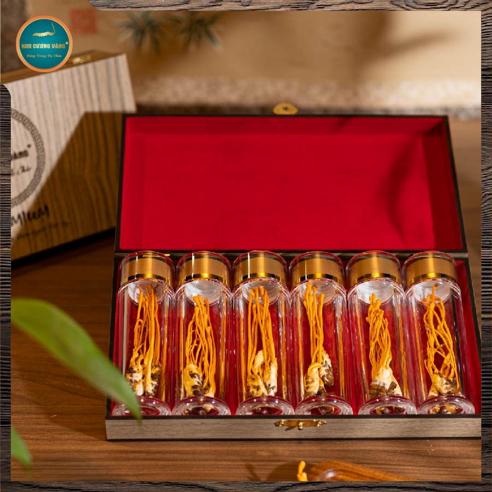 Đông trùng hạ thảo Premium Kim Cương Vàng