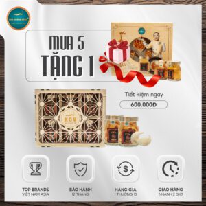 Combo 5 yến chưng đông trùng hạ thảo tặng 1 yến DTHT