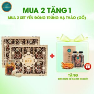Combo Yến Đông Trùng Hạ Thảo Hộp Gỗ