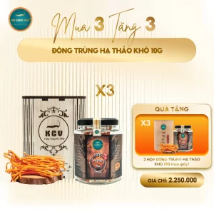Mua 3 tặng 3 combo đông trùng hạ thảo khô 10g
