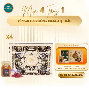 Mua 4 Tặng 1 yến saffron Đông Trùng Hạ Thảo